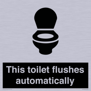 This toilet flushes automatically